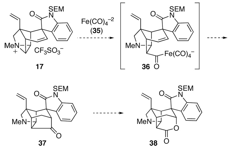 Scheme 5