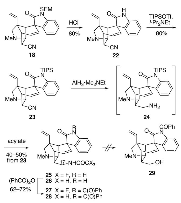 Scheme 3