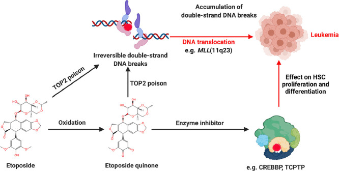 Image, graphical abstract