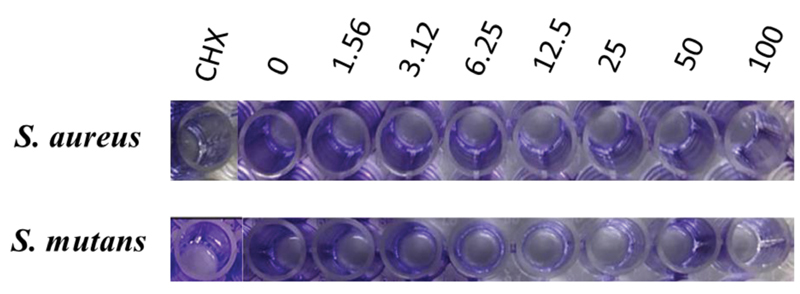 Fig. 10