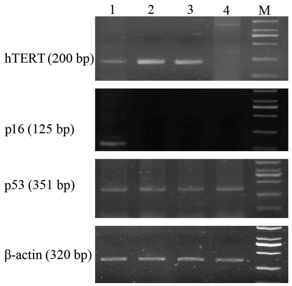 Figure 2.