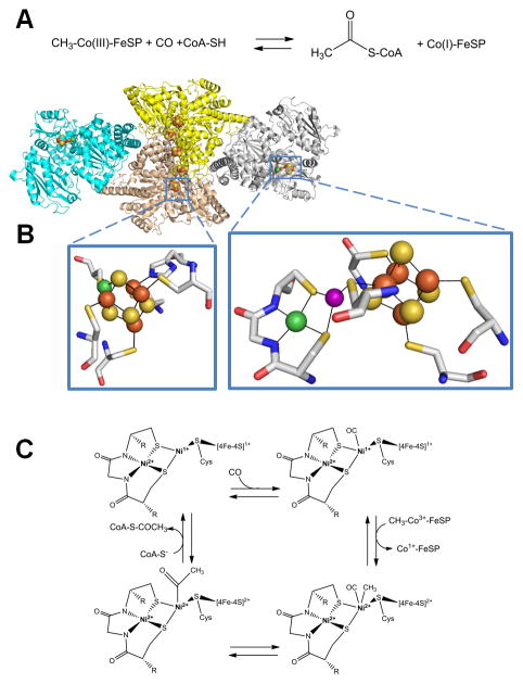 Fig. 7