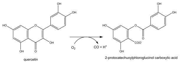 Fig. 10