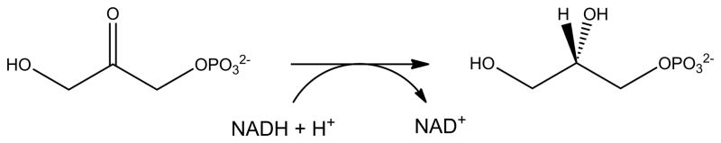 Fig. 11