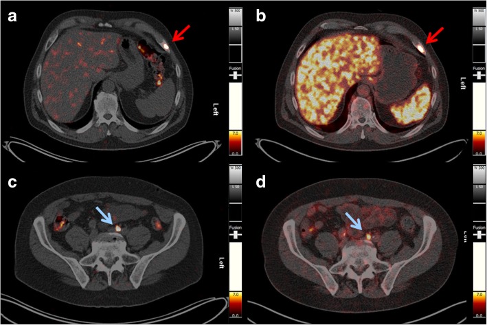 Fig. 6