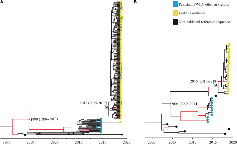 FIGURE 3