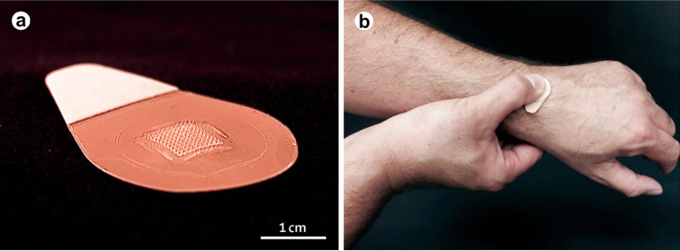 Fig. 8