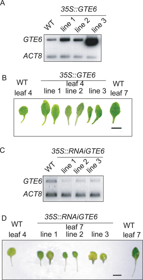 Figure 3.