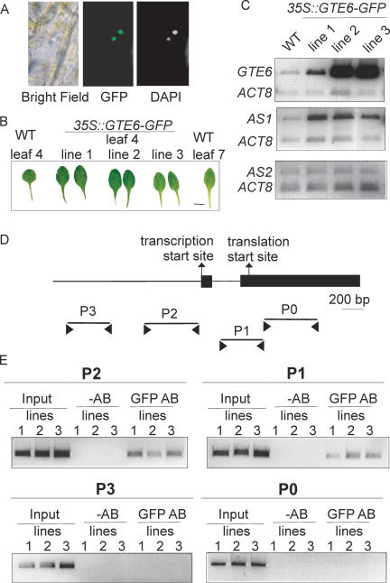 Figure 6.