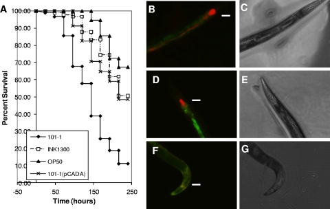 FIG. 6.