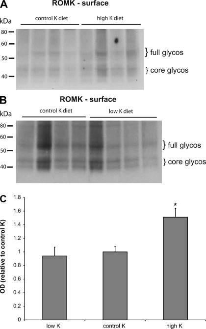 Fig. 8.