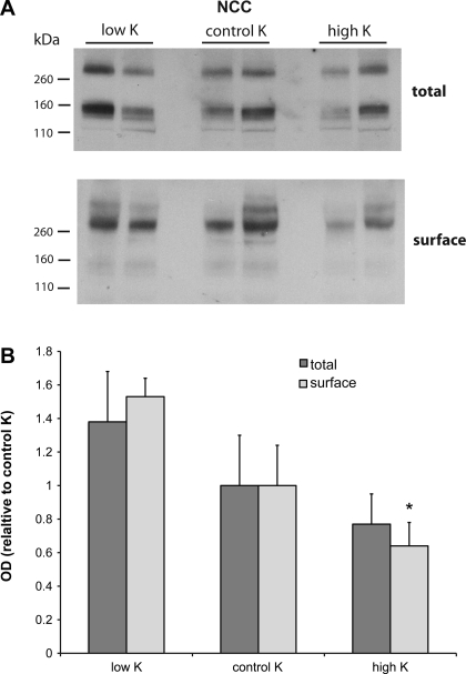 Fig. 9.