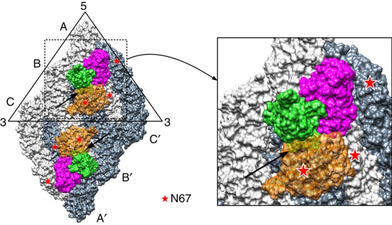 Figure 5