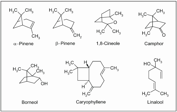 Figure 12