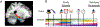Fig. 1 |