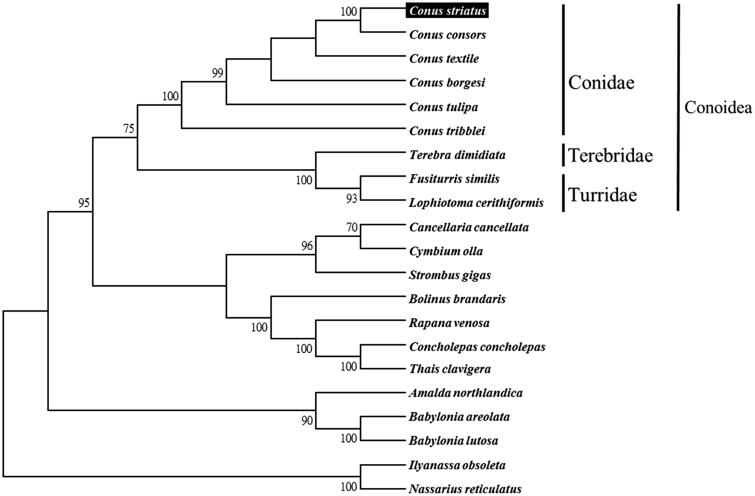 Figure 1.