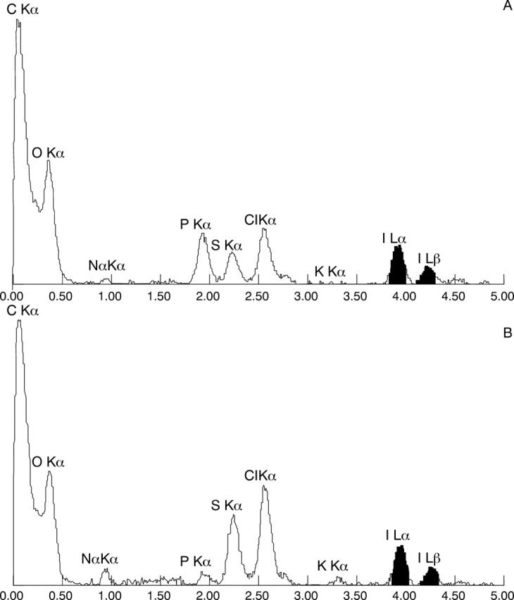 Figure 3  