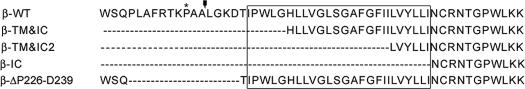 graphic file with name zbc032102512t001.jpg