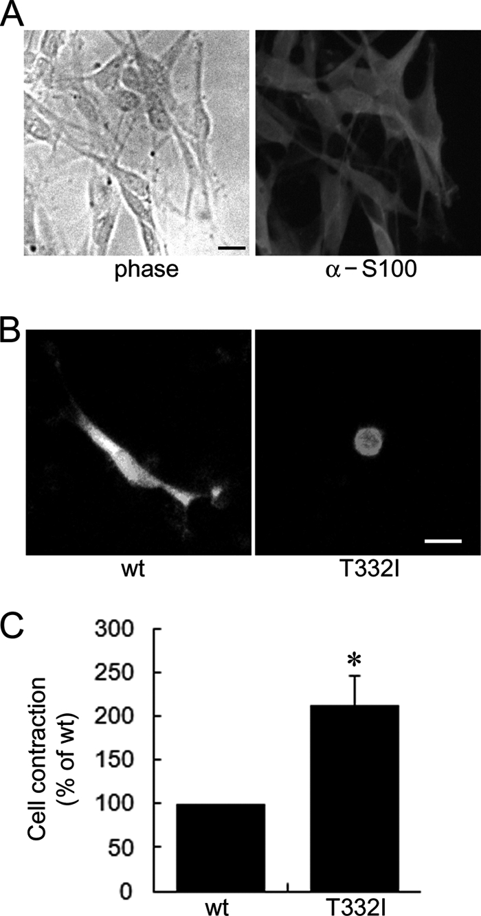 FIGURE 7.