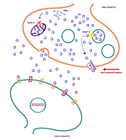 Fig. (2)