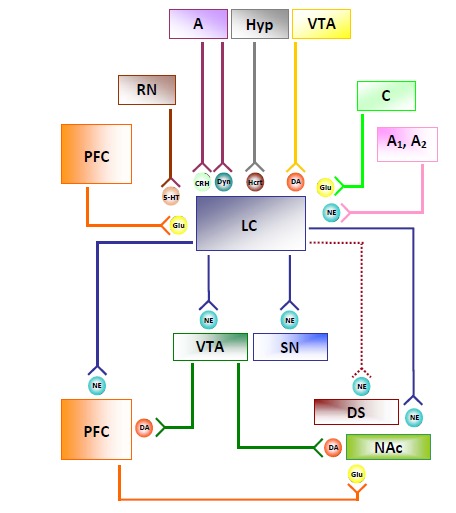 Fig. (1)