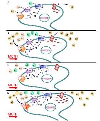 Fig. (4)