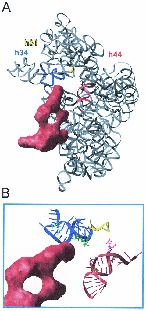 FIG. 4.