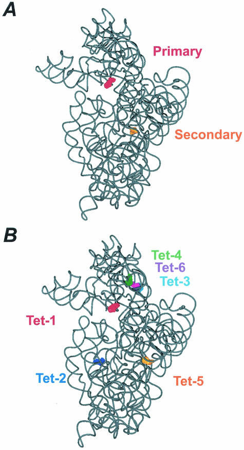 FIG. 2.