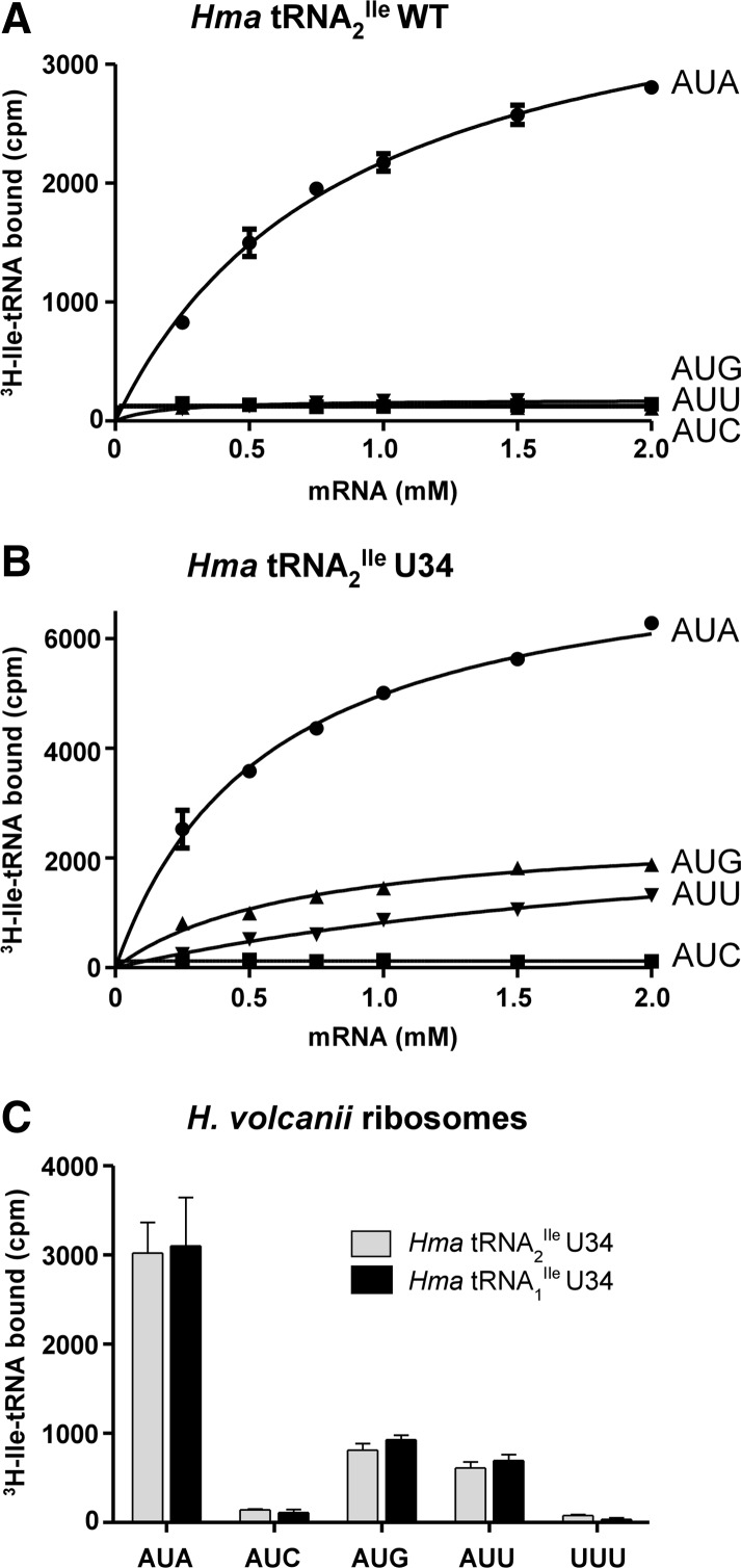 FIGURE 4.