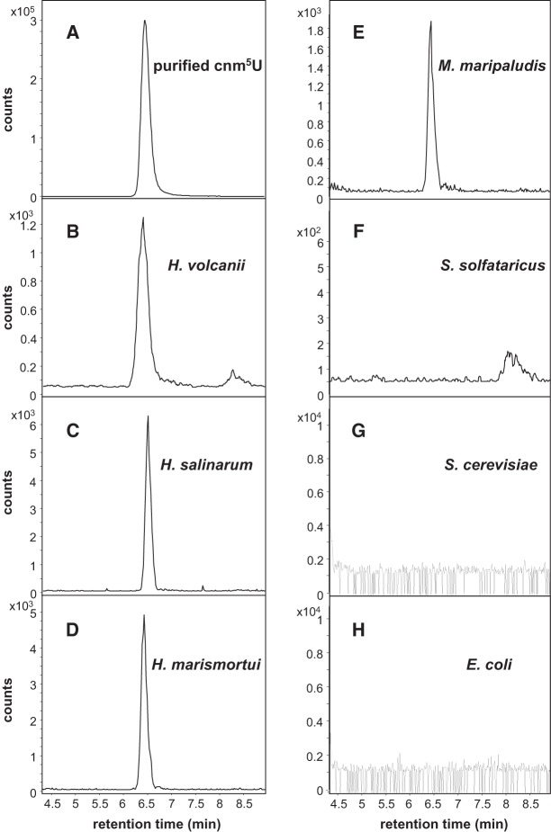 FIGURE 9.