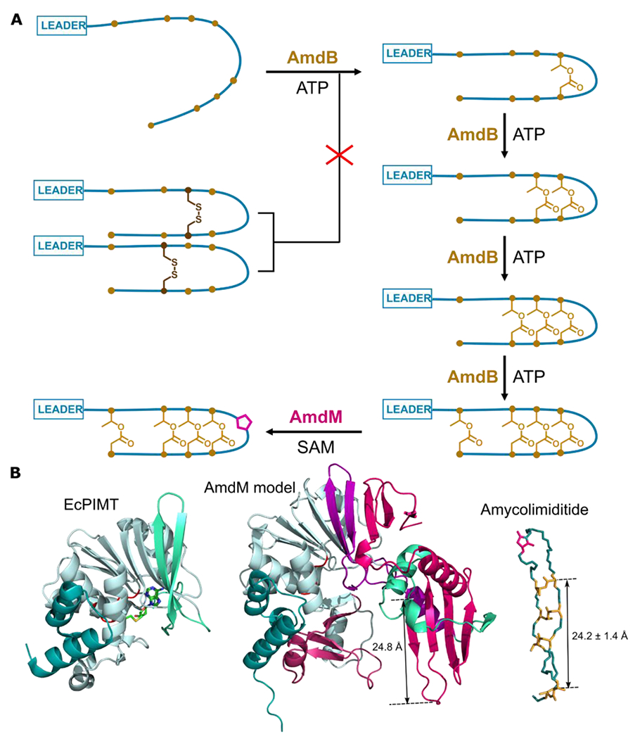 Figure 7: