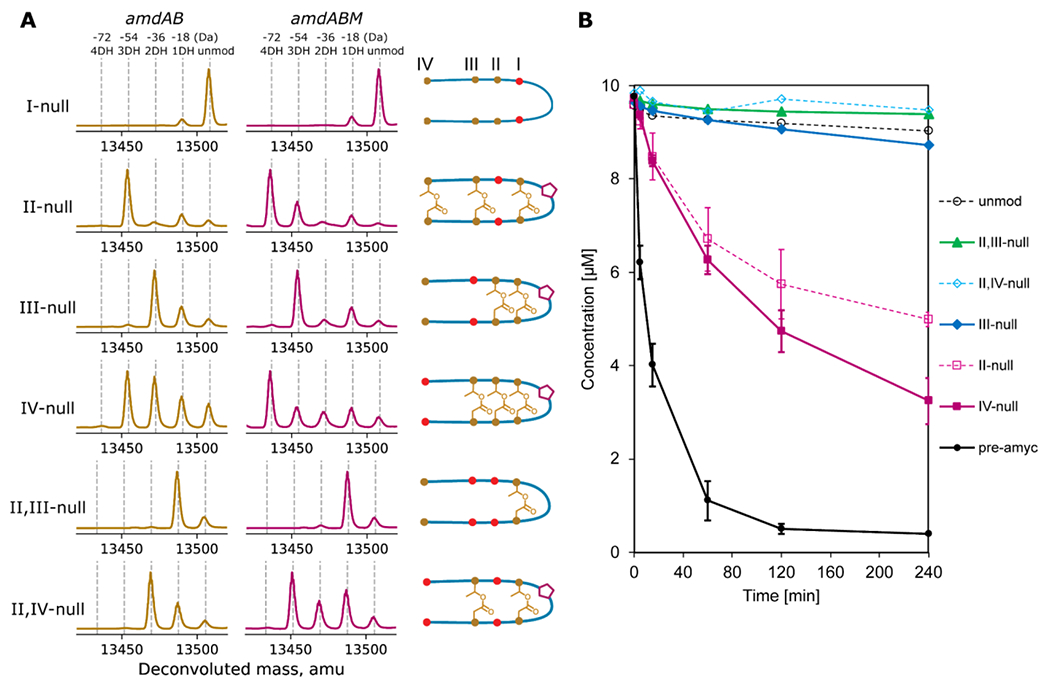 Figure 5: