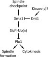 FIGURE 6: