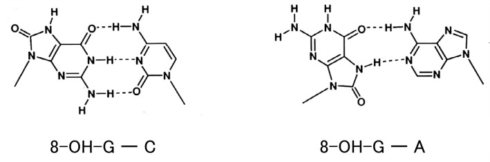 Fig. 7.