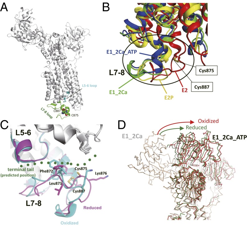 Fig. 7.