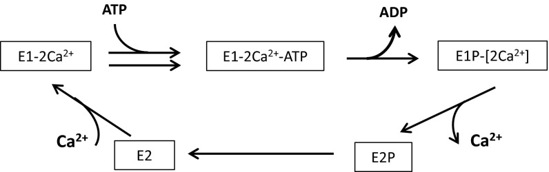 Fig. S5.