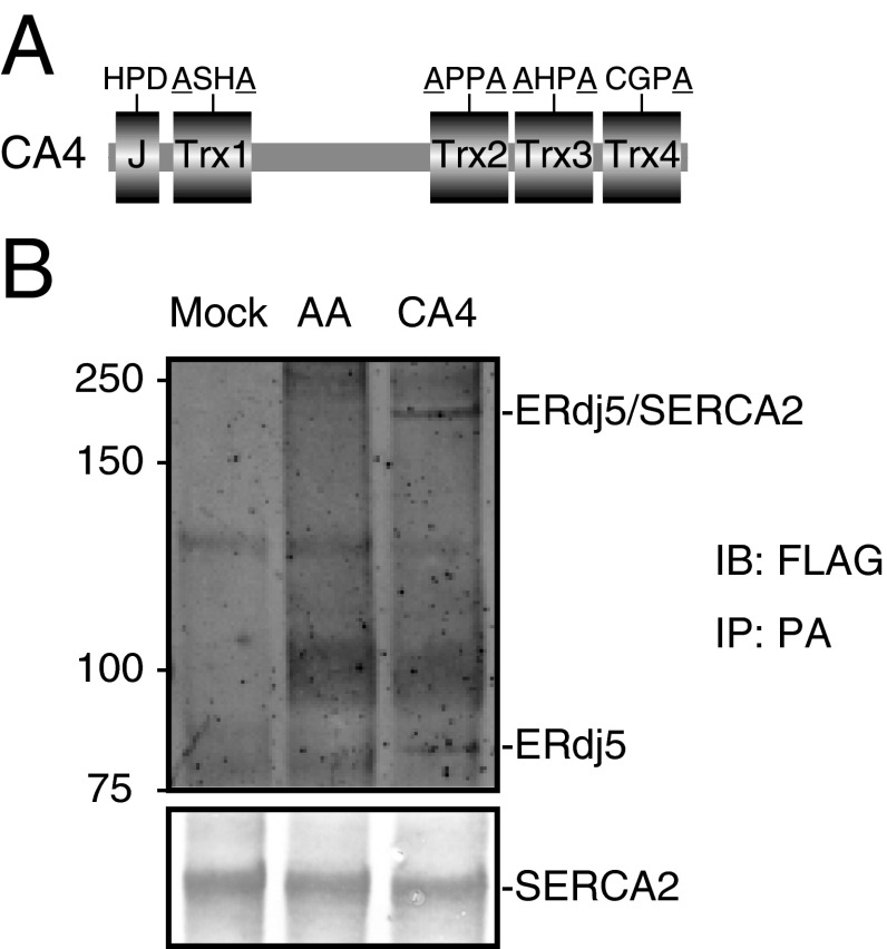 Fig. S1.