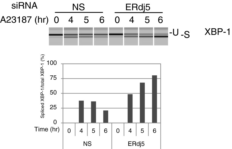 Fig. S3.