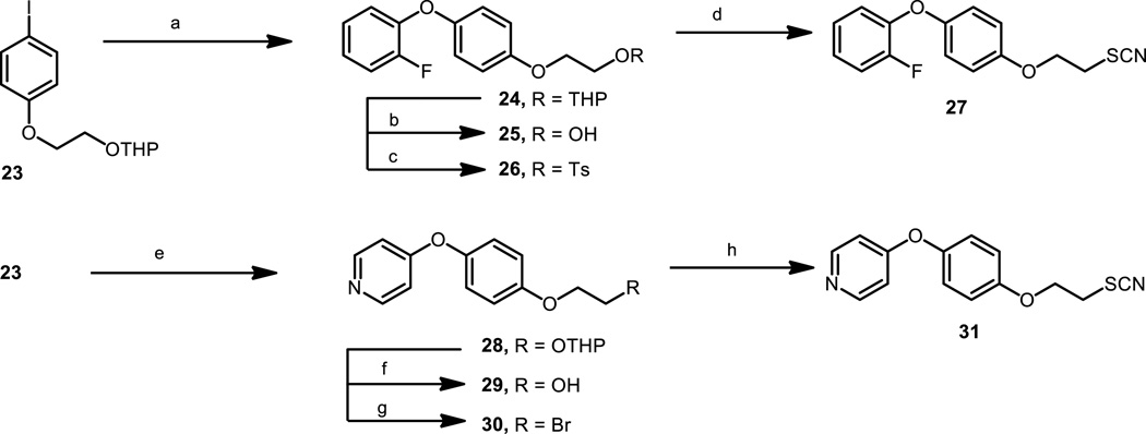 Scheme 2