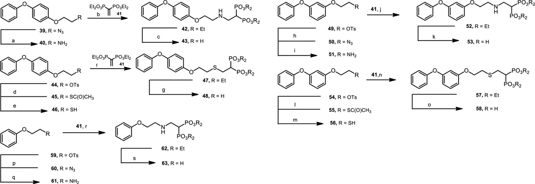 Scheme 4
