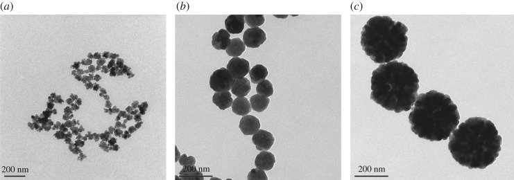 Figure 2.