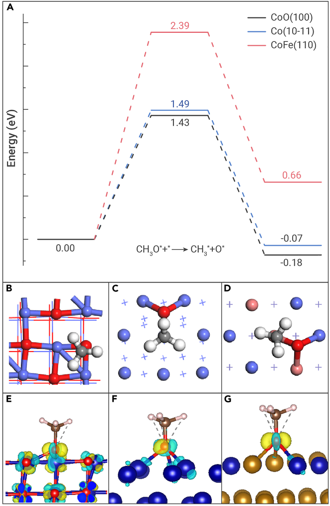 Figure 5