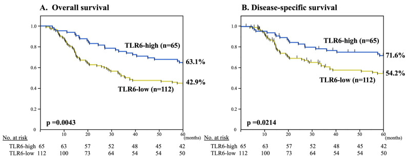 High Tlr6 Expression Status Predicts A More Favorable Prognosis After 