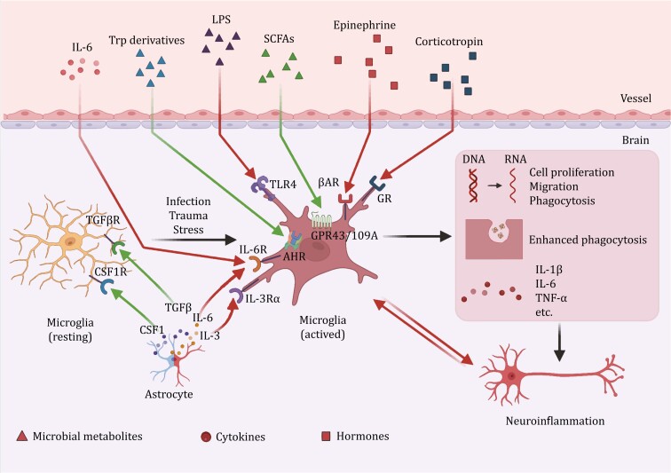 Figure 2.