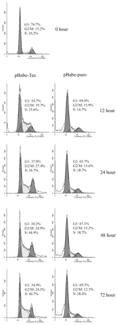 FIG. 8.