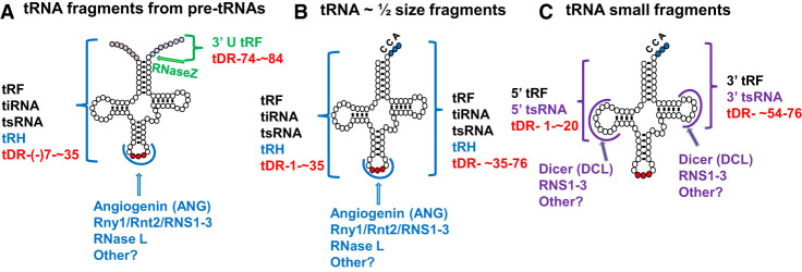 FIGURE 9.