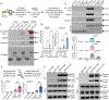 Figure 5: