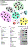 Figure 6: