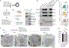 Figure 7: