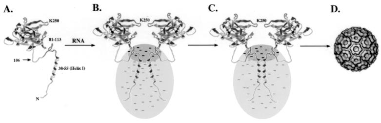 FIG. 8